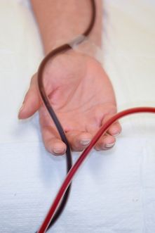 Browse to find your image above. Then update alt text here. Set the first size number below to between 300-400.