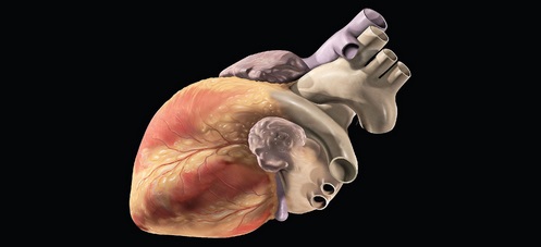 Browse to find your image above. Then update alt text here. Set the first size number below to between 300-400.