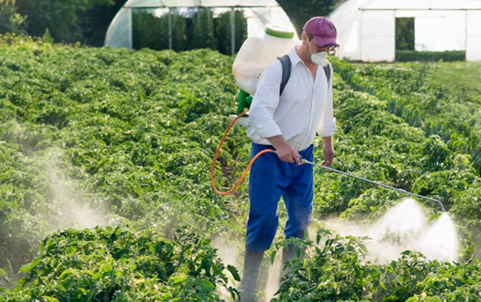 A farm worker spraying crops.